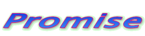 Promise